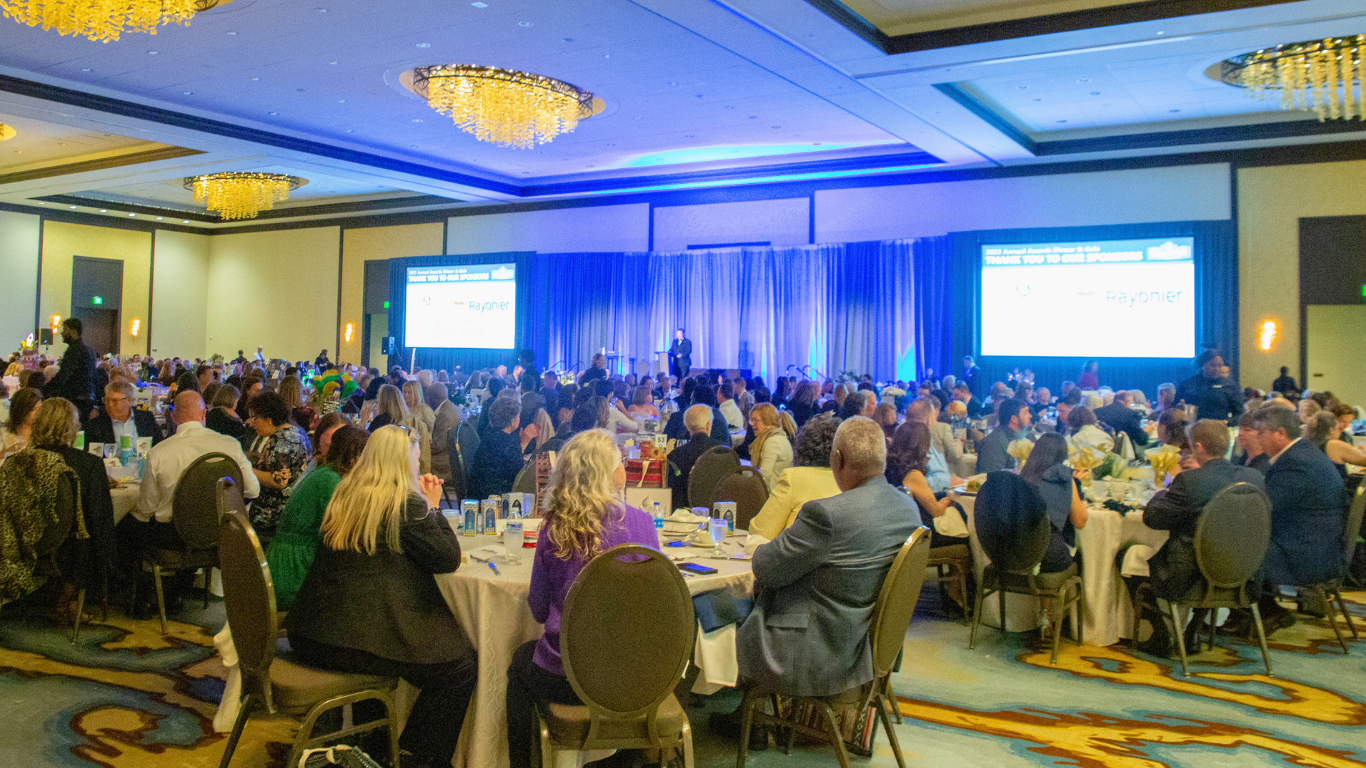 Silver Sponsorship